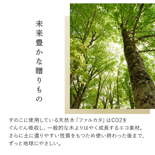 無垢材すのこ仕様脚付きベッド