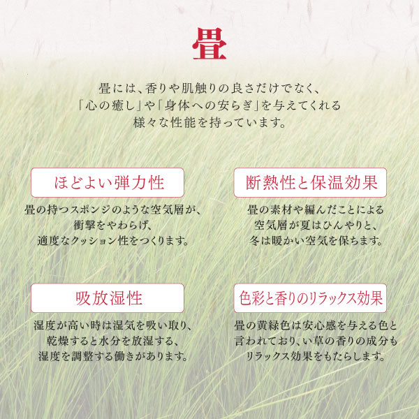 日本製！低ホルムアルデヒド・収納庫付き畳ユニット【波那】の激安通販