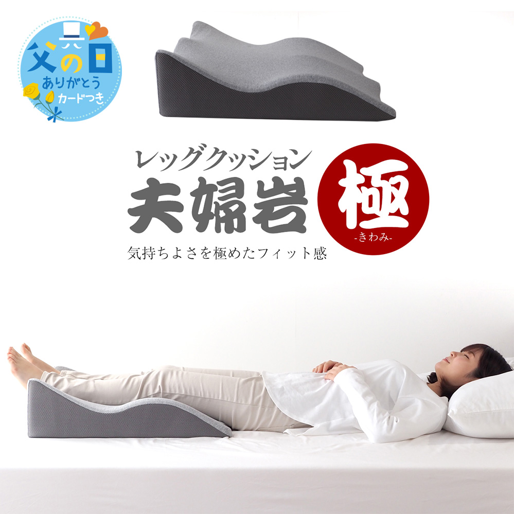 フランスベッド（FRANCEBED） フランスベッド正規品 ウミガメピロー