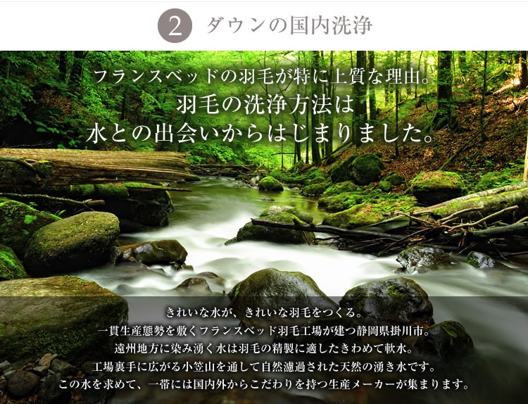 オールシーズン対応羽毛ふとん ダブル ハンガリー産ホワイトダックダウン フランスベッド ASフランツ 羽毛布団  JOORYU 静岡工場｜bedandmat｜06