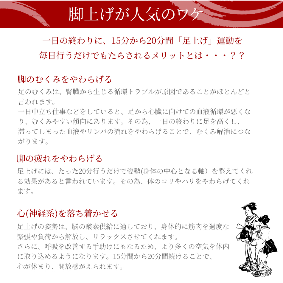 レッグクッション夫婦岩・極 ギフト プレゼント 低反発 炭入り 脚上げ 足上げ 介護 洗濯 足元クッション 足枕 レッグピロー | ベッドアンドマットレス | 11