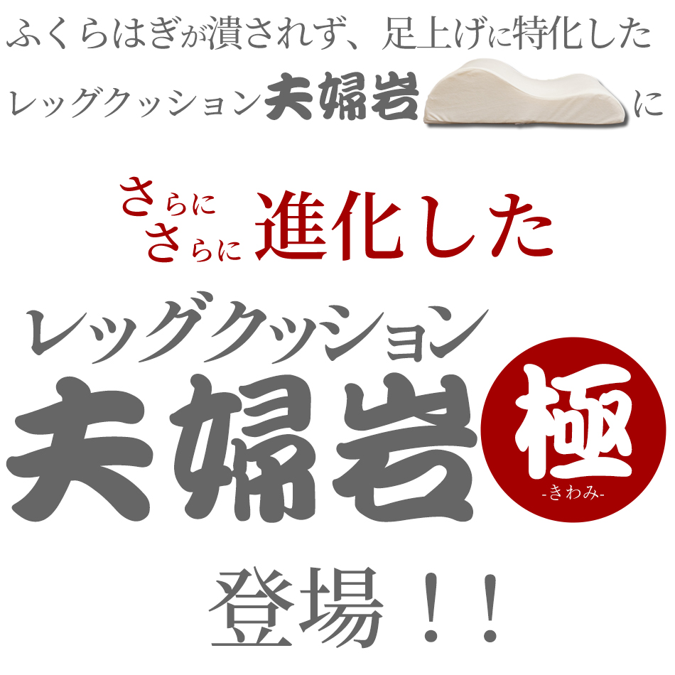 レッグクッション夫婦岩・極 ギフト プレゼント 低反発 炭入り 脚上げ 足上げ 介護 洗濯 足元クッション 足枕 レッグピロー | ベッドアンドマットレス | 03