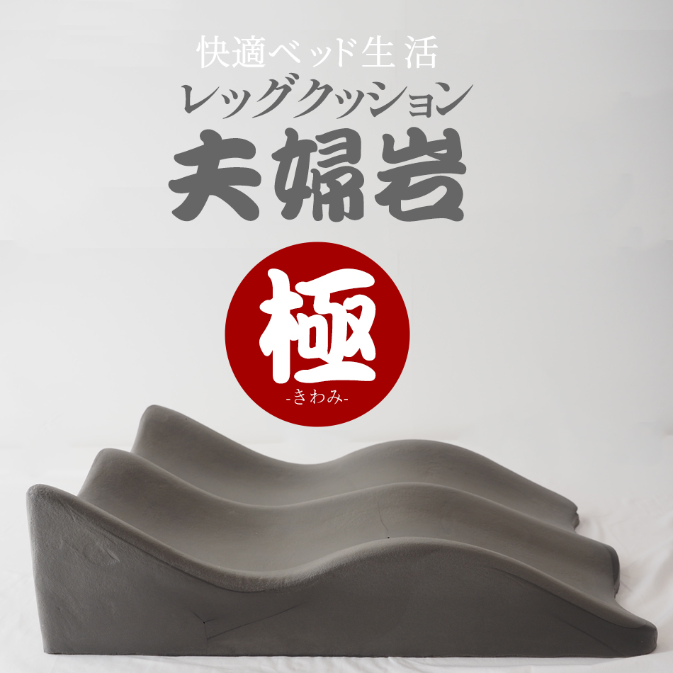 レッグクッション夫婦岩・極 ギフト プレゼント 低反発 炭入り 脚上げ 足上げ 介護 洗濯 足元クッション 足枕 レッグピロー | ベッドアンドマットレス | 02