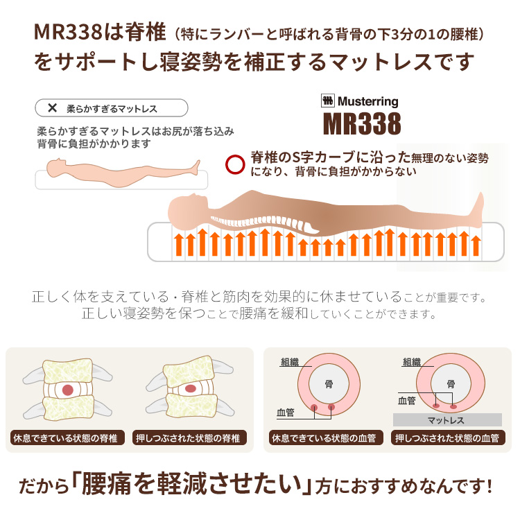 n_338-s_06.jpg