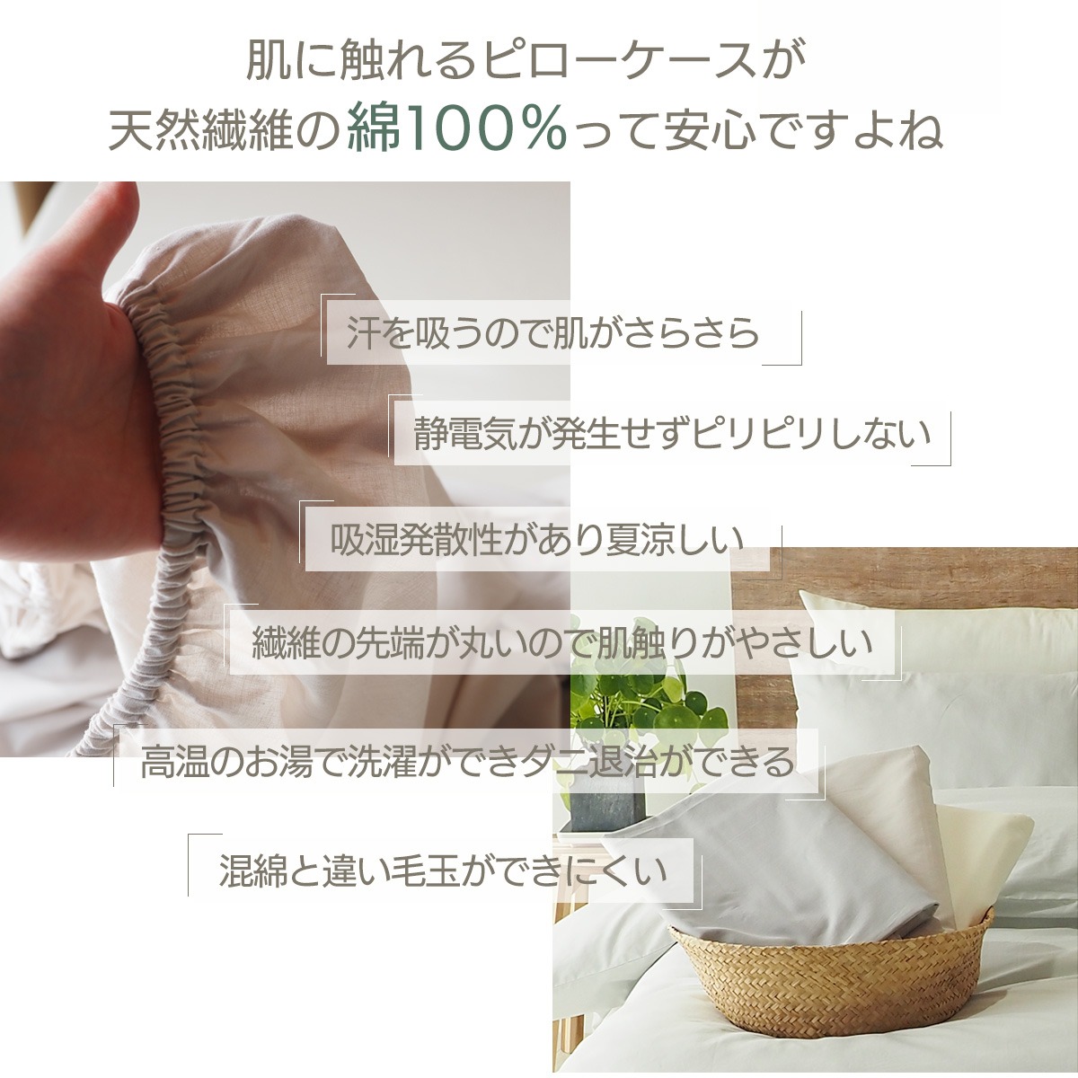 ピローケース 綿100% 洗濯 コットン 綿 枕カバー まくらカバー 4363 5070 メール便 ピローカバー ピローケースのみ 07シリーズ 関連画像4