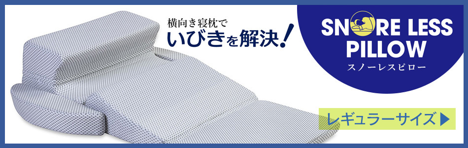 フランスベッド（FRANCEBED） まくら スノーレスピロー ミニ いびき