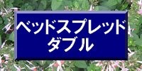 ベッドスプレッドダブル