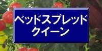ベッドスプレッドクイーン