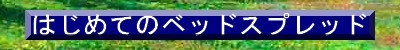 はじめてのベッドスプレッド