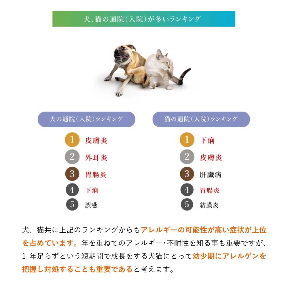 ペットアレルギー検査 アレミッケ （3頭分）業界最多の393項目 犬 猫 体毛を20本送るだけ 不耐性 症状 涙やけ 皮膚炎 下痢