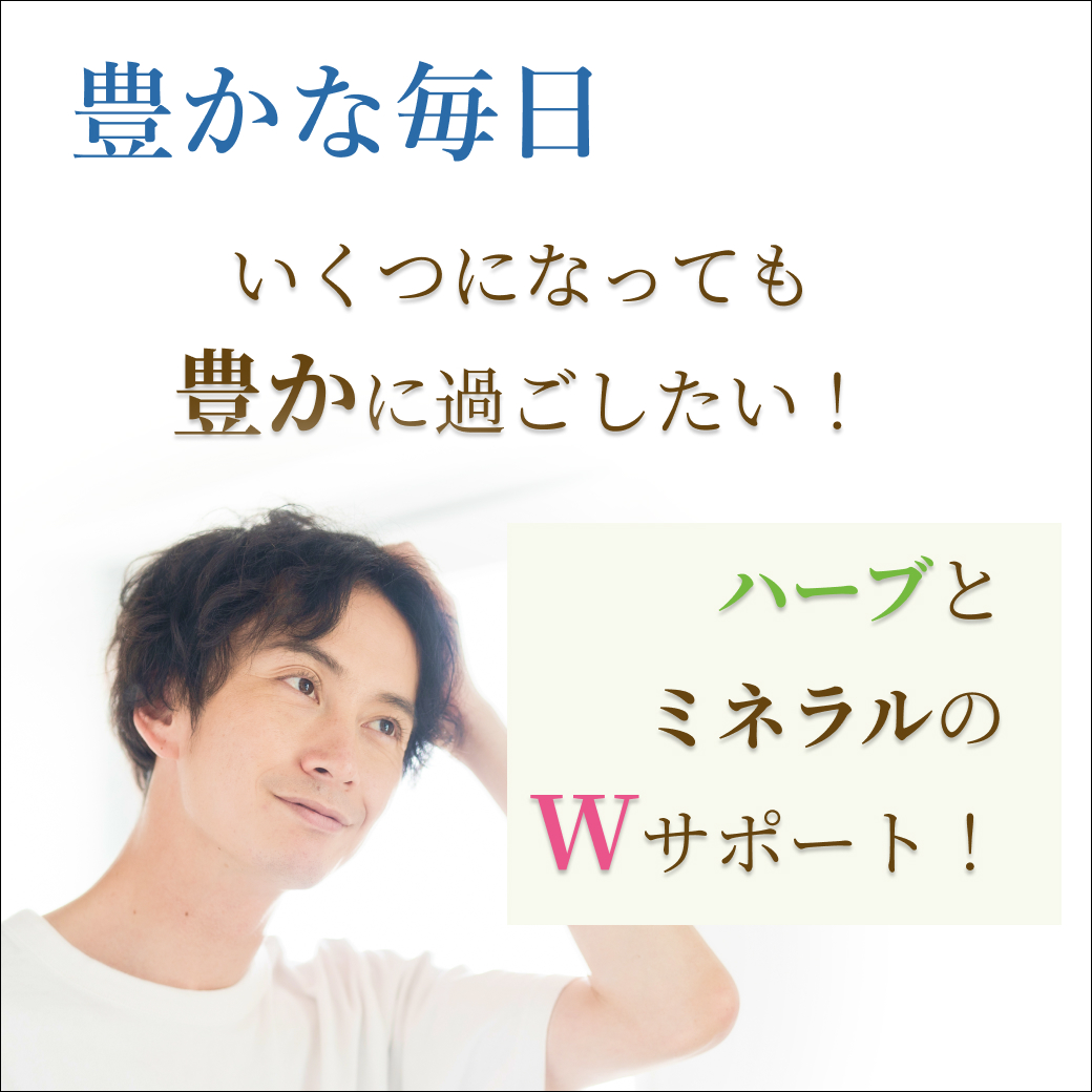 ヘアーサプリ 2点セット アクティバ・エクレクティック ネトル サプリ 髪 毛髪 頭皮 地肌 | ECLECTIC（サプリメント） | 01
