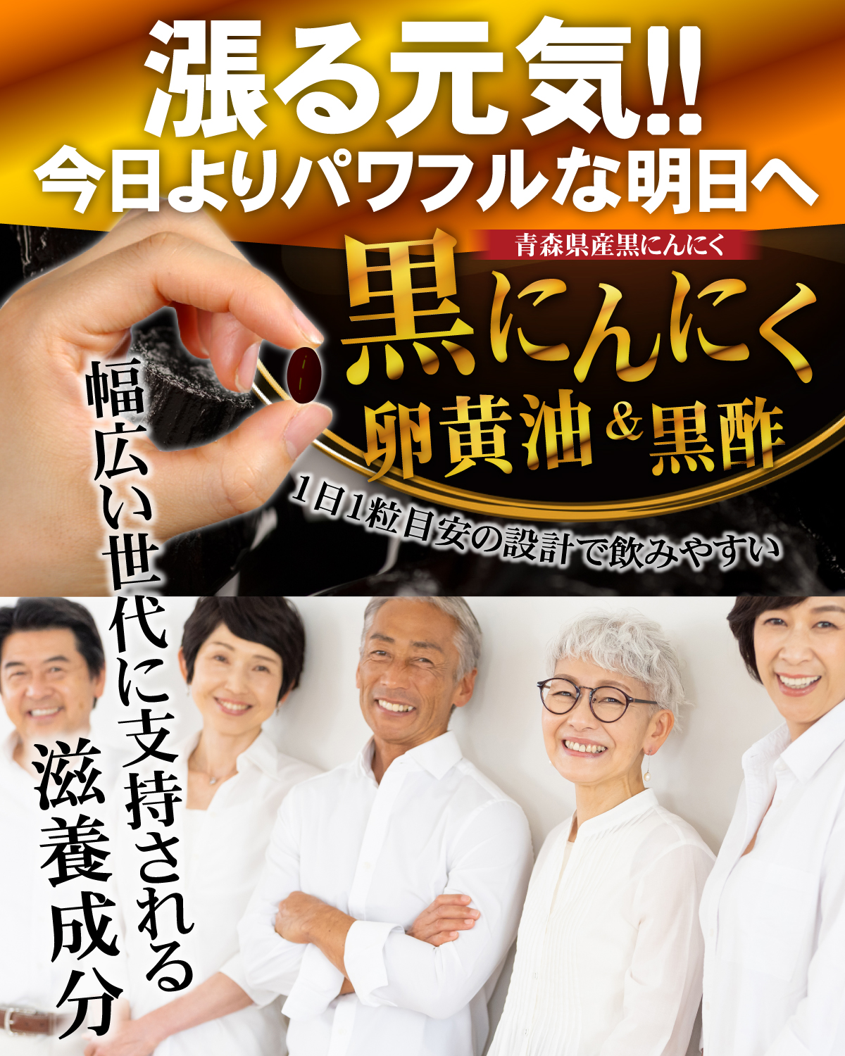 醗酵 黒にんにく卵黄 油 ＆ 黒酢（約6ヵ月分/180粒） サプリメント