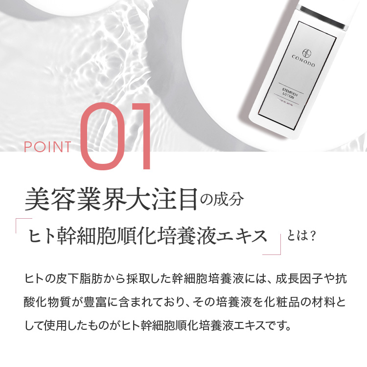 楽天市場】＼メーカー希望小売価格より45%OFF！クーポンご利用で