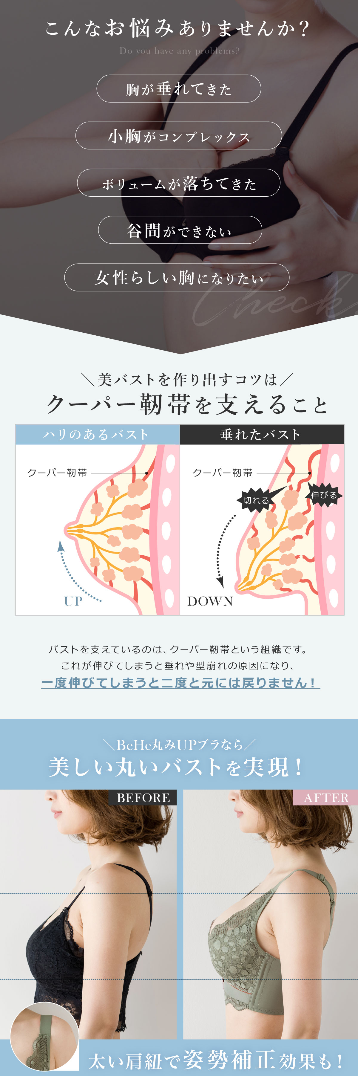 LP画像
