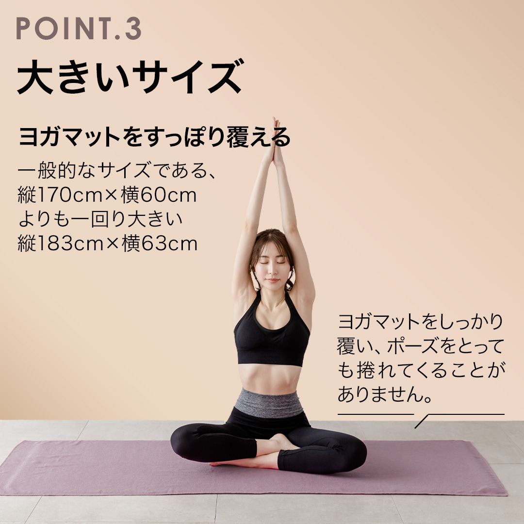 LP画像