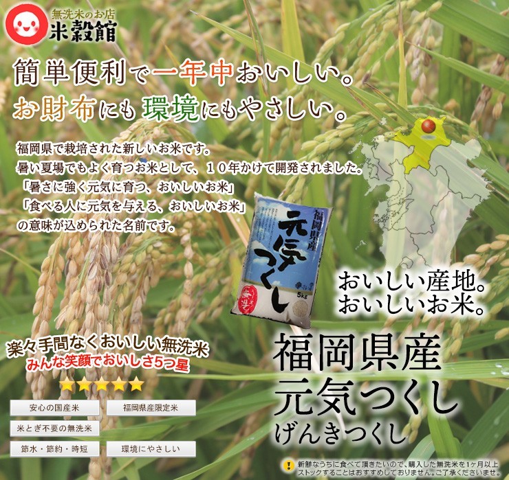 5kg 無洗米 福岡の新しいお米「元気つくし」 送料無料 一般米※ 令和7