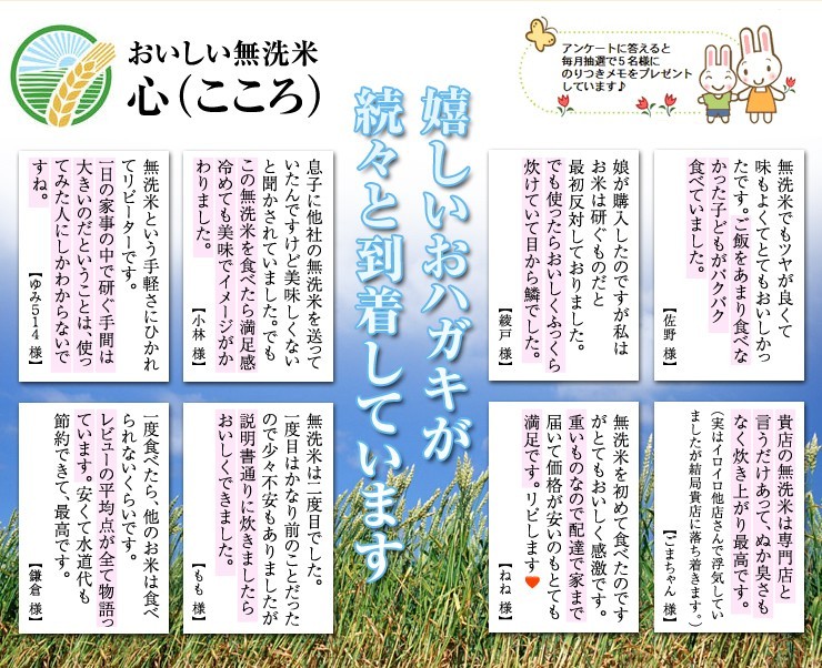 最大64%OFFクーポン 無洗米 2kg 心 こころ 2kg×1個 九州産 米 2キロ 送料無料令和３年産九州産福岡県産元気つくし  turbonetce.com.br
