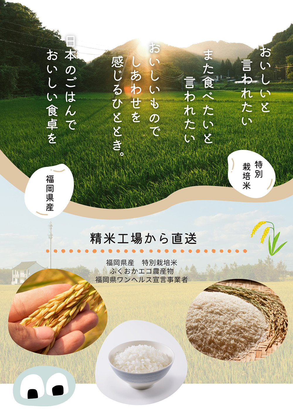 令和7年産 福岡県産 夢つくし 研ぐお米のみ 『白川米』 特別栽培米