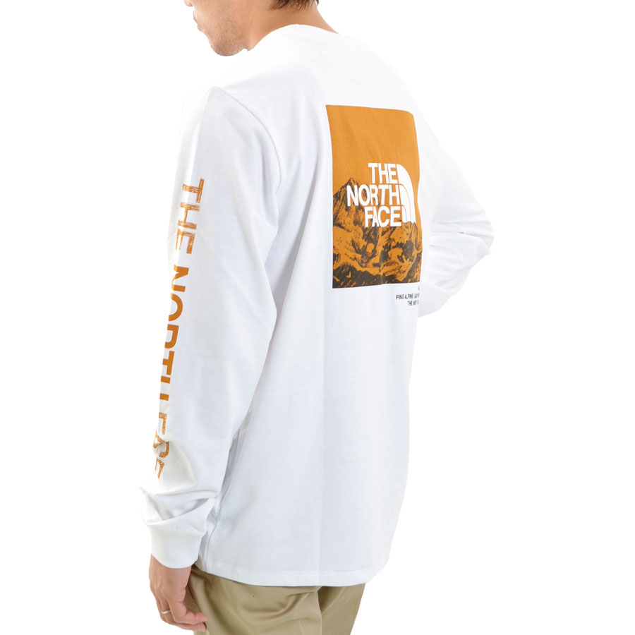 THE NORTH FACE ノースフェイス ロンT 長袖Tシャツ メンズ NF0A5GML バックロゴ 袖ロゴ プレイ Tシャツ