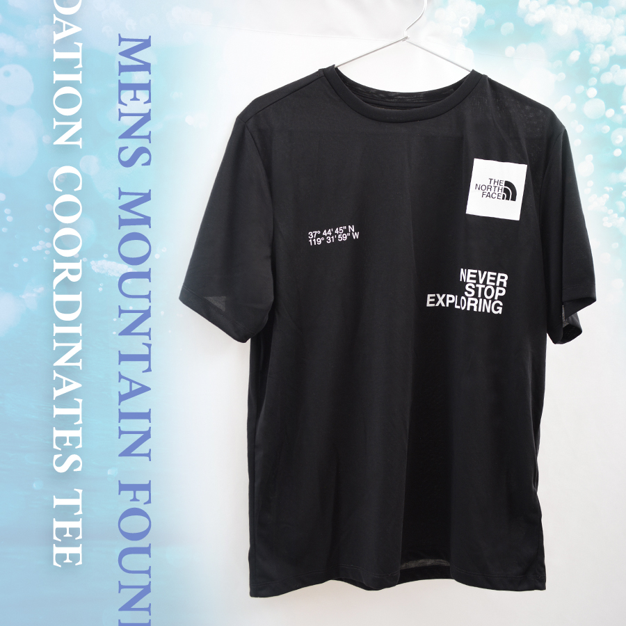 【国内発送】THE NORTH FACE ノースフェイス Tシャツ 半袖 ロゴ THE NORTH FACE ザ・ノースフェイス メンズ tシャツ 半袖 クルー