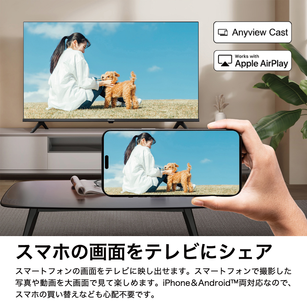 ハイセンス（HISENSE） 40型 液晶テレビ 40A4N FHD スマートテレビ 低