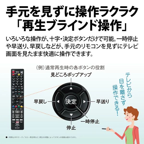 ブルーレイディスクレコーダー 2チューナー 2TB シャープ 2B-C20EW1｜beisiadenki｜09