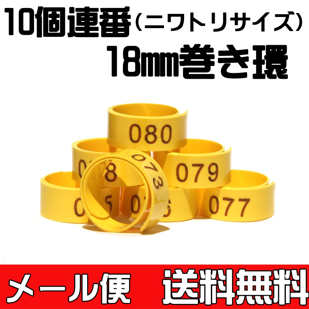 送料無料・メール便対応代引き不可) 巻き環・ニワトリサイズの足環