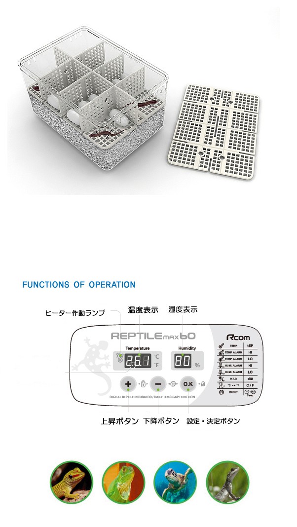 ジュラゴン レプタイルマックス60 : eバード - 通販 - Yahoo