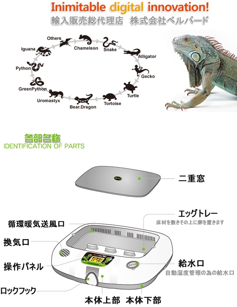詳細画像1