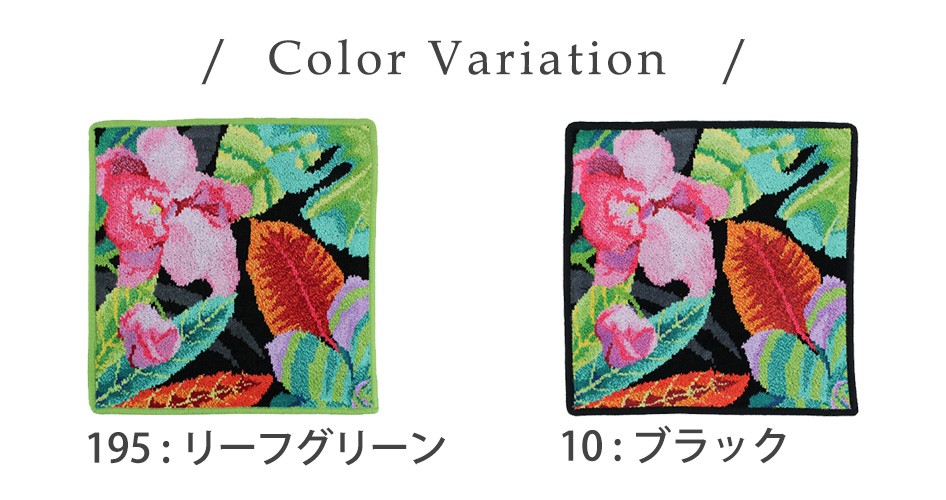 FEILER - 【新品未使用】フェイラー ゲストタオル 37x50cm