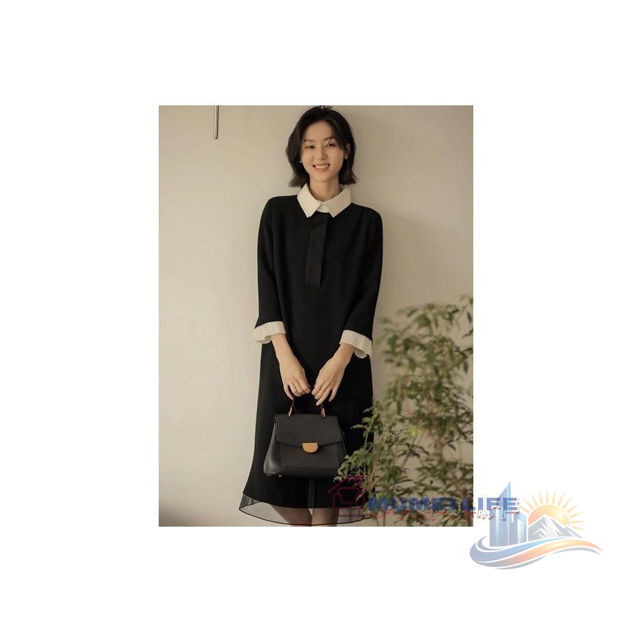 ラック ワンピース 白襟 入学式 結婚式 パーティー 上品 ストレートライン アドバンスト 長袖 ひざ下丈 おしゃれ 便利 実用的 使いやすい 省スペース 新生活の画像