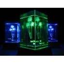 2024「母の日特集」