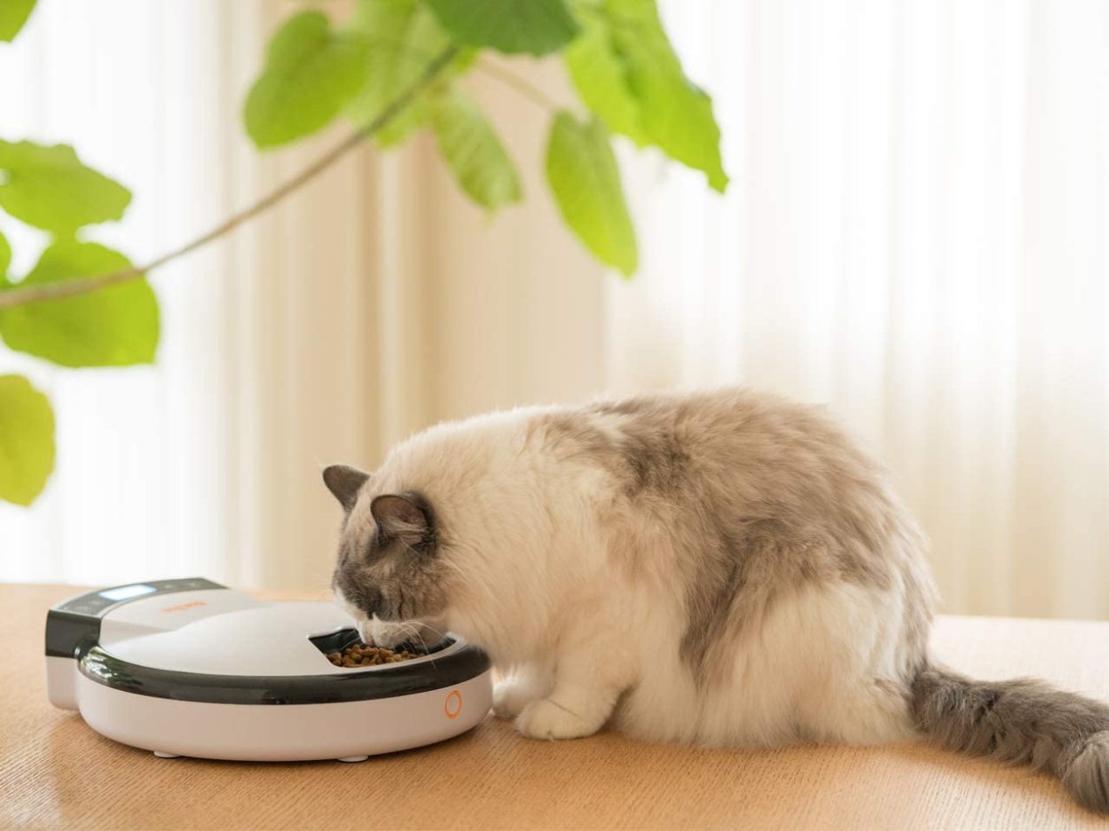 猫・中小型犬用 自動給餌器 WAGWAGオートフィーダー(5食分) 録音 猫・中小型犬用 自動給餌器 WAGWAGオートフィーダー(5食分) 録音