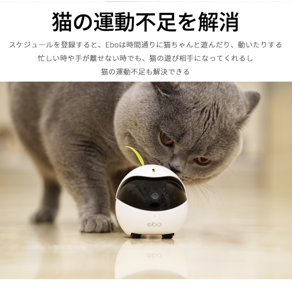 値引 Ebo イーボ ペットモニター 見守りカメラ ペットカメラ 猫用カメラ 猫おもちゃ 猫用スマートロボット 猫ボール 電動 猫の運動不足を解消 最新人気 Homeofmalones Com