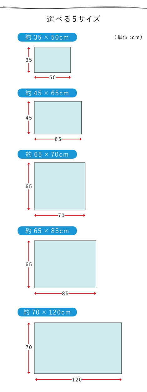 バスマット 日本製 吸水 速乾 すべりにくい コスモトロン (R) 約45×65 