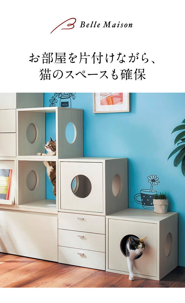 ねこさんラック 楽天市場】猫 家具 棚 猫用キューブボックス 3穴 幅40cm 奥行