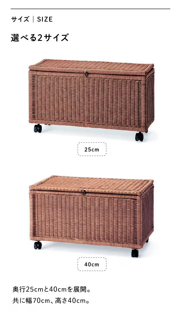 ベルメゾン（BELLE MAISON） 収納ボックス ボックス 収納ケース 衣装