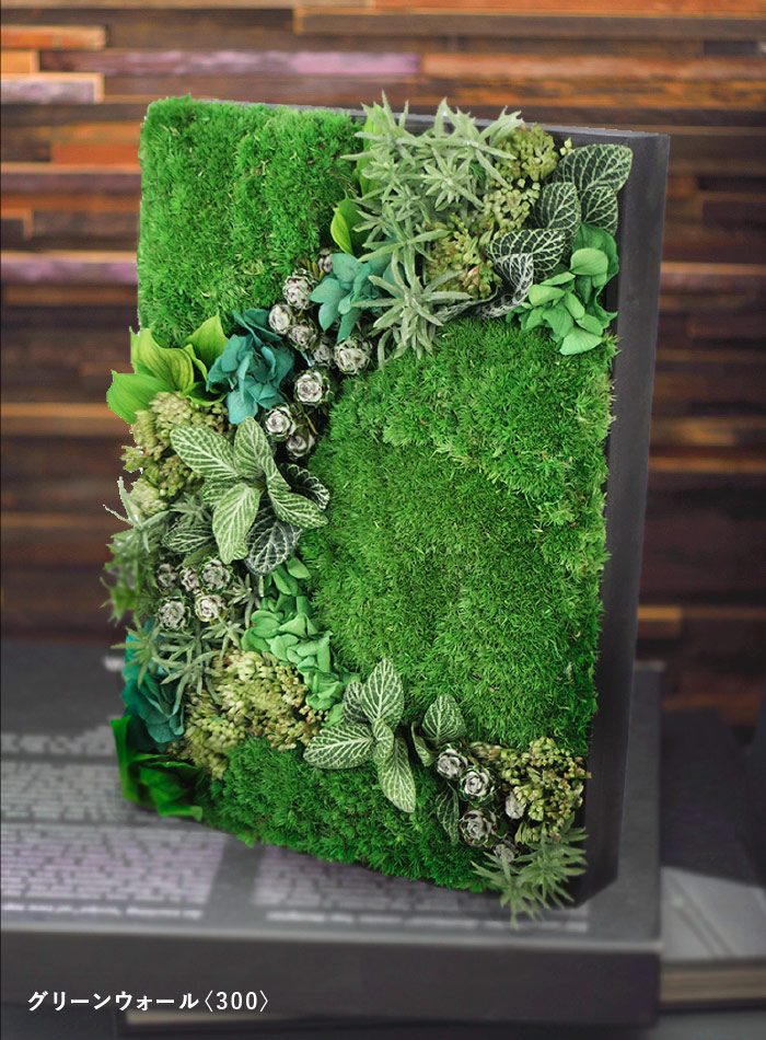 プリザーブドフラワー #グリーンウォール【450】 花 苔 グリーン