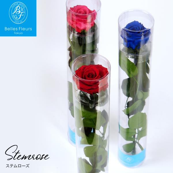 ステム付きローズメイン画像