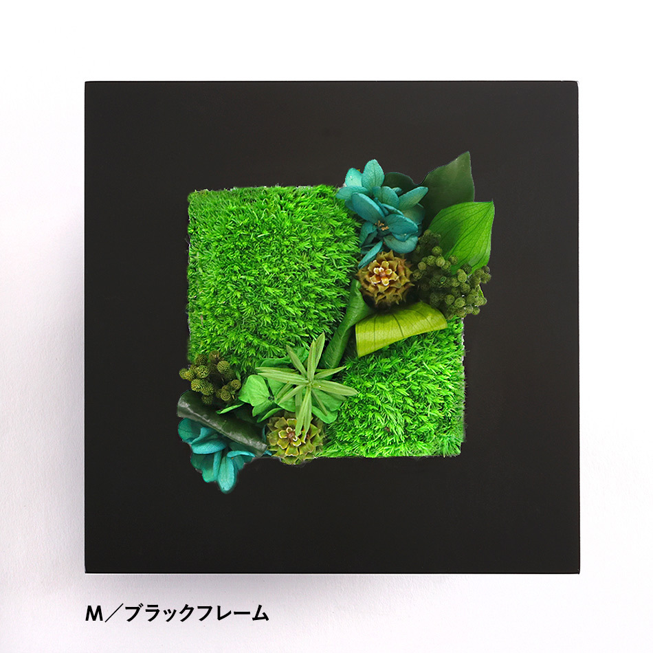 ブラックフレーム
