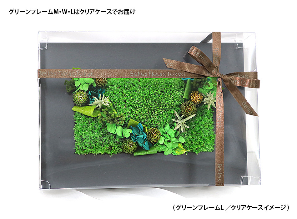 グリーンフレームクリアケースイメージ