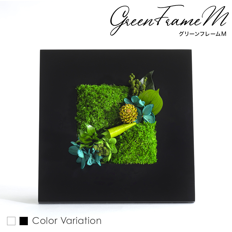 クリスマス プリザーブドフラワー #グリーンフレームM フレーム 誕生日