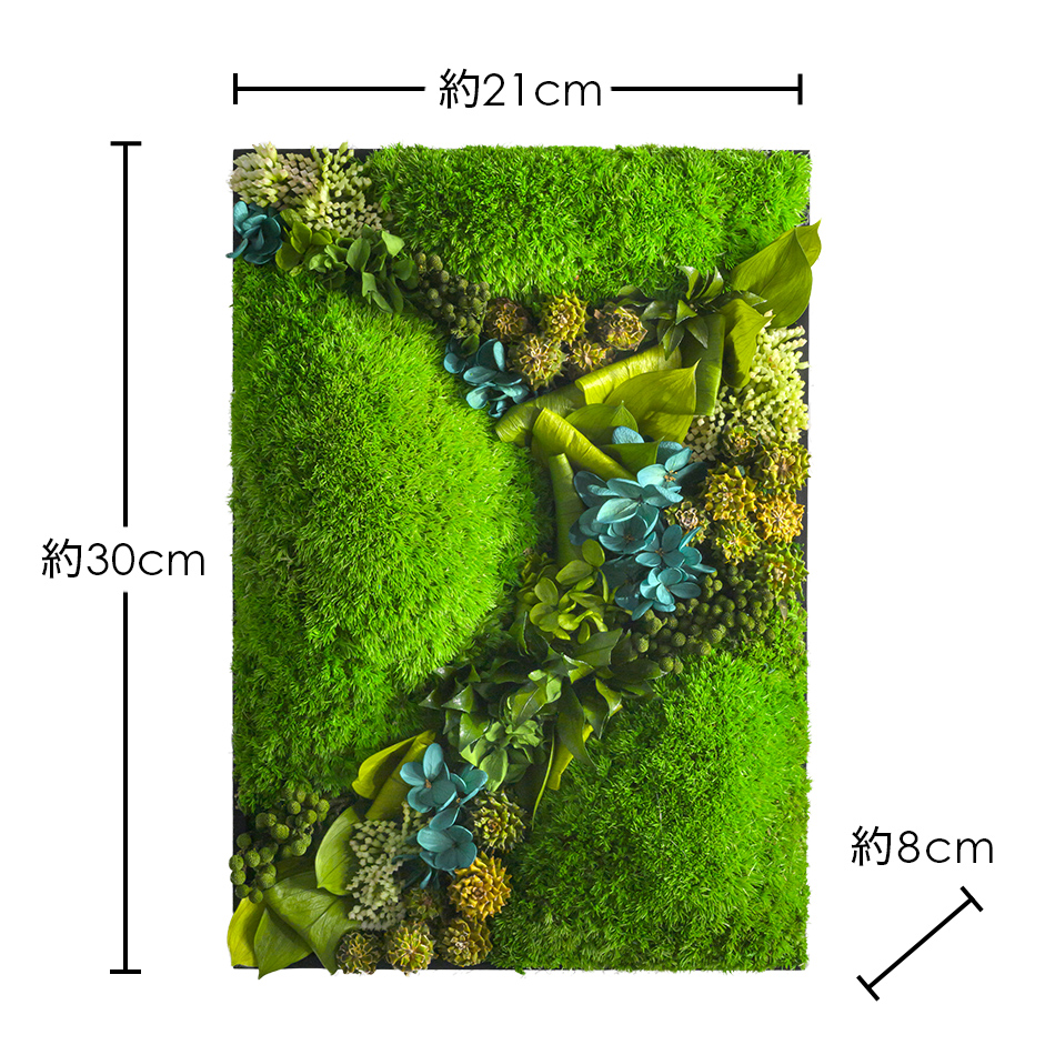 クリスマス プリザーブドフラワー #グリーンウォール【300】 モス 誕生