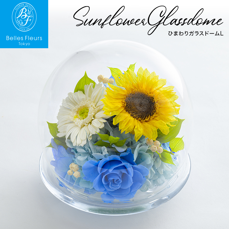 麻暖簾　天然灰汁発酵建て濃淡段染め 麻暖簾 天然灰汁発酵建て濃淡段染め 綾のめぐみ 天然灰汁発酵建て「