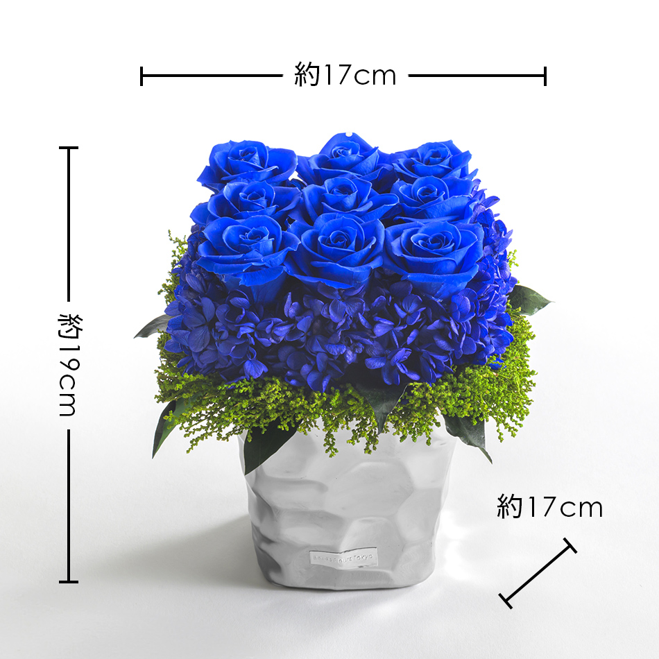 クリスマス プリザーブドフラワー #イタリアM （ラインストーン付き