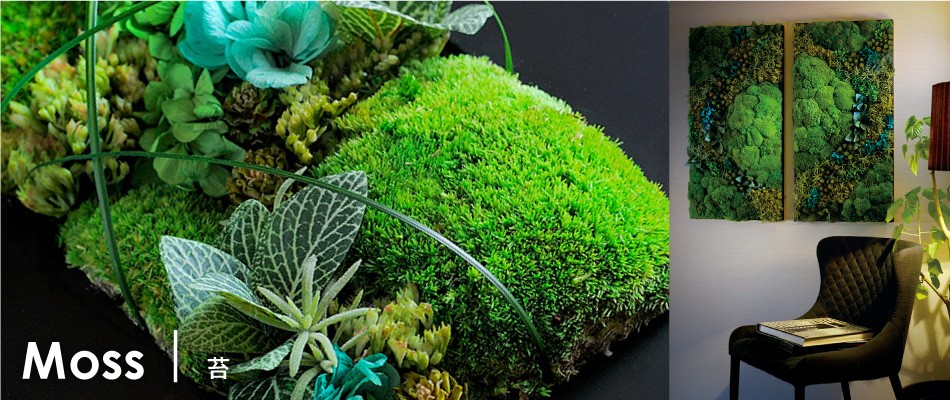 プリザーブドフラワーベルフルール 苔 Moss 花で選ぶ Yahoo ショッピング