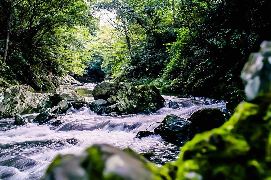 金北山からの天然水