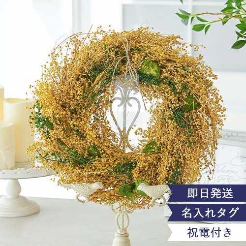 �d�� ������ �G�^�[�i���i�`���������[�X-Mimoza- �����j�� �j�d �d�� ������ �V�� ���j�� �t�����[ �J�b�v�� ���[�X