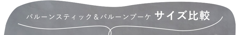 サイズ比較