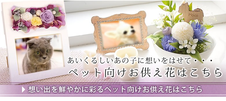 ペットお供え花 こちら